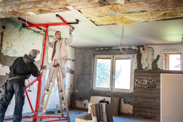 Best Insulation Installation Services in Haskell, AR