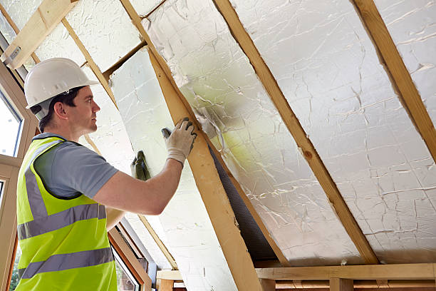 Best Insulation Maintenance and Repair in Haskell, AR