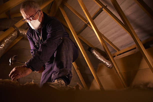 Best Commercial Insulation in Haskell, AR